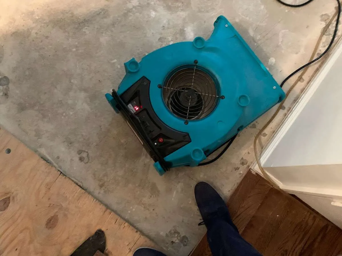 Air mover drying subfloor during Leak Detection & Repair in Temple Terrace